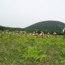 하도소리 이미지