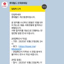 롯데월드 캐스트 업장 배치 후기(feat. 주방헬퍼)