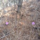 대부해솔길 6코스 이미지