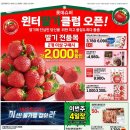 롯데슈퍼주