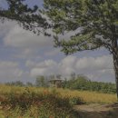 아쉬람민박 이미지