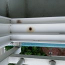 봉동주공1차아파트 네이버블로그
