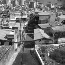 초장동10 이미지