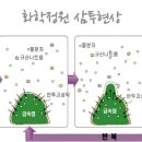 뉴턴의정원