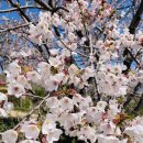 무룡산정상 공중화장실 이미지