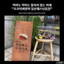 코코이찌방야일산웨스턴돔점 | 일본식 카레 전문점 "코코이찌방야 일산웨스턴돔점"처음 먹어본 후기