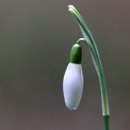 바리스타2급 자격증(야간) 이미지