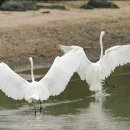 조한성내과의원 이미지