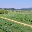 동명농장 이미지