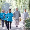 섬진강대숲길 이미지