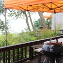 솜니움트리 이미지