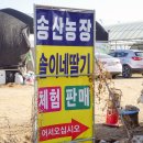인천딸기체험 계양구 송산농장 솔이네딸기 체험비 정보