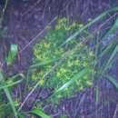 경남상사 이미지