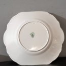 도그 블라썸 이미지