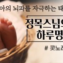 [정목스님의 하루명상] 태아의 뇌파를 자극하는 태교명상 / 콧노래명상 이미지