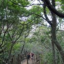 불치목장 | 이승이오름.신례천 생태로2코스/자연 치유의 숲과 오름 탐방