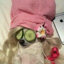 의식의 흐름 이미지