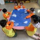 대양어린이집 이미지