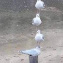 내기경로당 | 퇴적된 시간의 감각