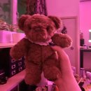 말루목장 | 🐻 그동안의 일기들 1편!(5/17~6/4)