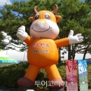 장수유기질 이미지
