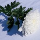 뉴천사PC | 251230🥕99 연말 결산_영화, 방송 후기 60편 &amp; 책 후기 0개 모음