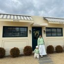 서귀포감귤정원이예쁜집 | [제주/서귀포] 제주카페 서귀포카페 너리 제주도 카페추천