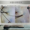 당진헤어샵💈오롯이헤어 | 두피관리, 두피스파 추천
