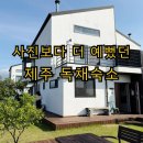 작은바람언덕 | 제주 서귀포 독채숙소 바당언덕 후기 부모님 모시고 다녀온 가족숙소