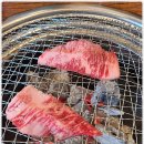 소사벌소한마리 이미지