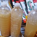 웰빙즉석손두부 이미지