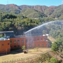 나무나라