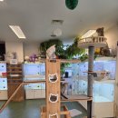 해피주 수원점 | 수원에서 동물과 제대로 된 교감! 해피주 수원점 다녀온 솔직 후기