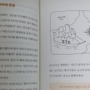 미디어지음