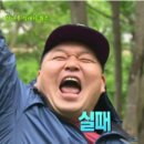 캐니언픽처스 이미지