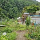 우들농장 이미지