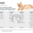 이노동물병원 이미지