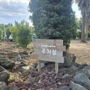 안덕면 상창리사무소 입구 | 제주 상창리 트로피카나 이국적인 야자수 숲속 무료 산책코스 추천 🌴