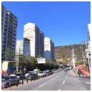 탑메디칼약국 이미지