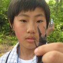 수완중학교 이미지