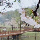 신상동 인공습지 이미지