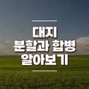 대지 분할과 합병 이미지