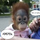 스테이 토랑 | 2월