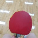 영동군민탁구장 이미지