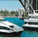 (주)나라여행사 이미지