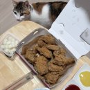 월드카부분정비 이미지