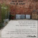 마태 이미지