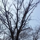 양원리 경로당 이미지