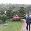 운림골농원 티스토리