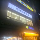 초록도마뱀 | 평택파충류샵 추천 평택도마뱀 분양부터 용품까지 다 있는 이충동점 후기